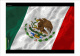 Mexico analysis